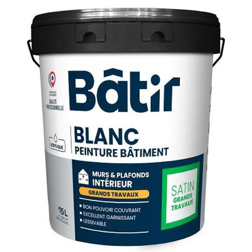 Peinture murs et plafonds grands travaux - Batir