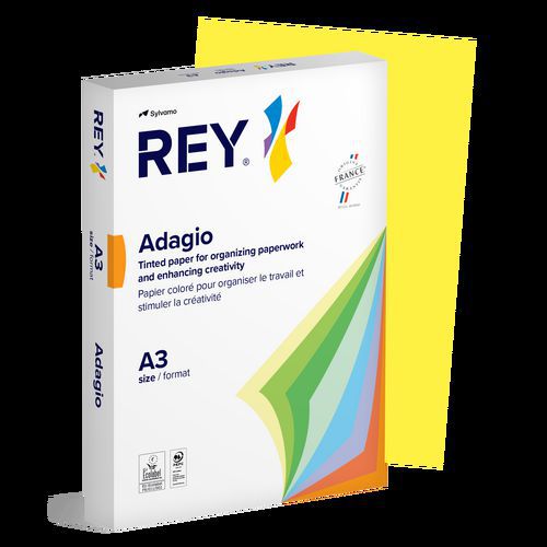 Ramette couleur vive 500 feuilles 80g A3 à la teinte - Rey