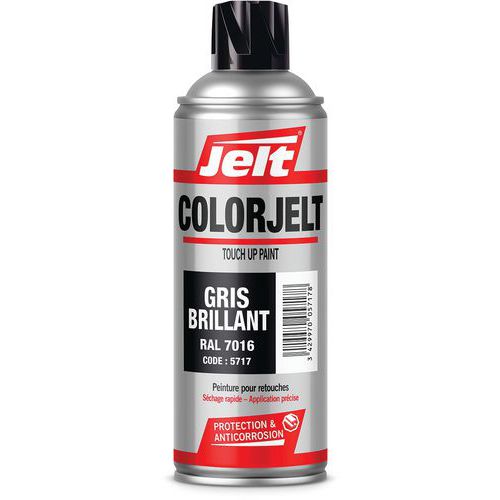 Peinture de retouche aérosol à séchage rapide - ColorJelt