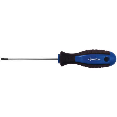 Tournevis ergonomique pour vis fente - Manutan Expert