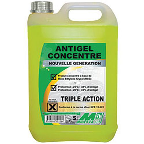 Antigel concentre 5l minerva - Minerva oil