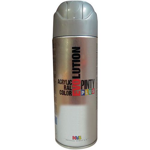Peinture bombe plus évolution - Pinty