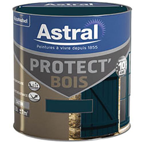 Peinture protectrice bois satinée - Astral