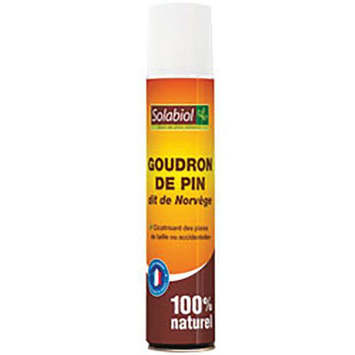 Goudron de pin aérosol- Solabiol Goudron de pin aérosol- Solabiol
