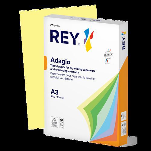 Ramette couleur pastel à la teinte 500 feuilles 80g A3 - Rey