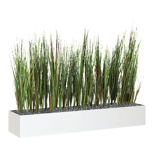 Jardinière basse JB12 Herbes