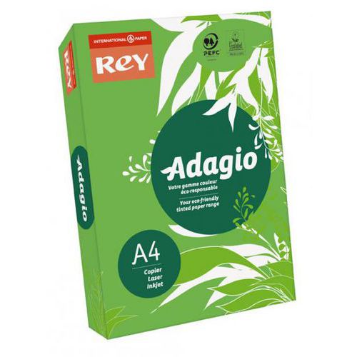 Ramette 250 feuilles 120 g A4 - Rey