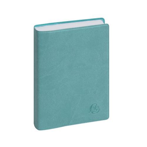 Agenda journalier Journal 13 Horaire Winner assortis - Exacompta