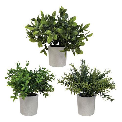 Plantes artificielles Buis romarin - Alba