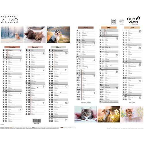 Calendrier 2026 Animaux Fantaisie - Quo Vadis