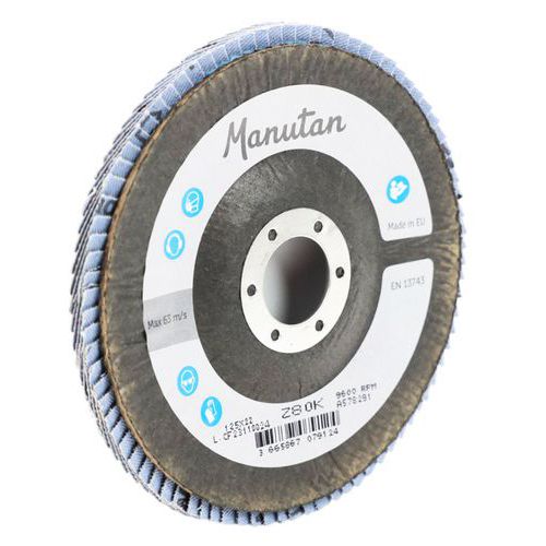 Disques à lamelles bombés Ø 125 mm - Manutan Expert