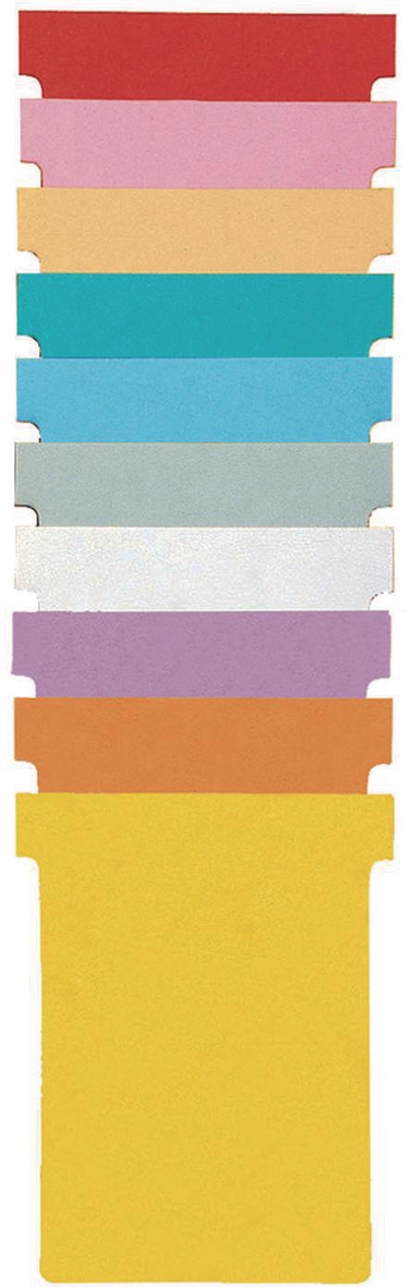 Fiches T Nobo Indice 1 - Lot De 100 - Blanc - 49x28x16.5mm - 170g/m2 - Pour Classement Et Présentation