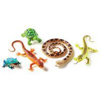 Reptiles et amphibiens géants - Learning ressources thumbnail image