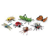 Insectes géants - Learning ressources thumbnail image
