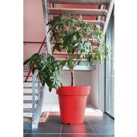 Pot Design couleur - 200 L