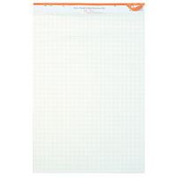 Bloc 48 feuilles quadrillées paperboard - Manutan
