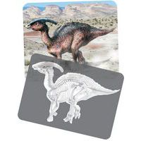 Cartes et radiographies dinosaures (24 pièces) - Roylco thumbnail image