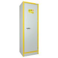 Armoire sécurité 30 mn pour produit inflammable Trionyx