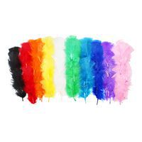 Sachet de 300 plumes multicolores thumbnail image
