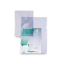Chemise transparente