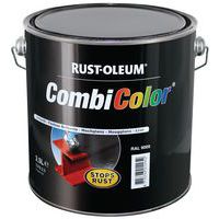 Peinture anti-rouille COMBICOLOR - noir satiné RAL 9005 - 750 mL -  RUST-OLEUM