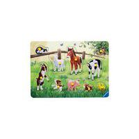 Petits animaux familiers thumbnail image