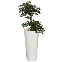 Bac Bonzaï rond 85 cm