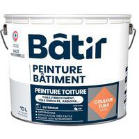 Peinture pour rénovation des toitures - Batir
