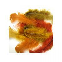Sachet 150 plumes assorties couleurs de l'automne thumbnail image