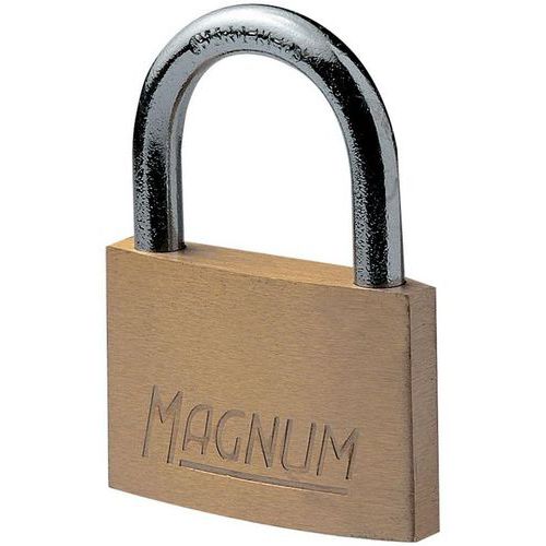 Master Lock - Cadenas à clé laiton standard 50mm - Anse 11.5mm - Garantie à vie