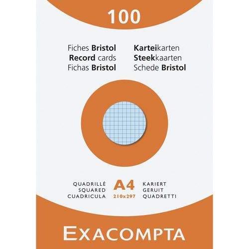 Étui De 100 Fiches Quadrillées 210x297mm De Dimension