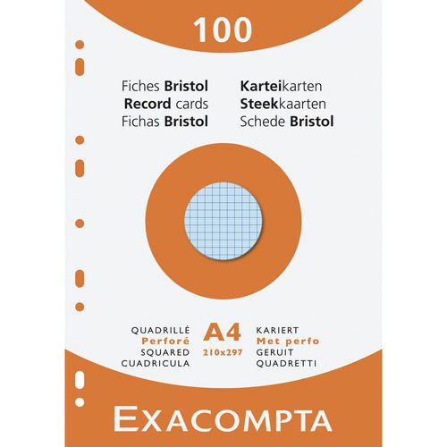 Étui De 100 Fiches Quadrillées Perforées Couleurs Assorties