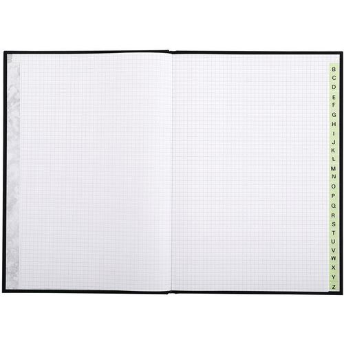 Registre Standard 300 Pages