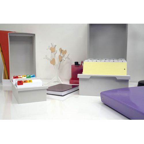Exacompta Bac à Fiches Classique - 24 X 17,6 X 14,3 Cm, Gris Lumière - Range-Fiches Avec Intercalaire