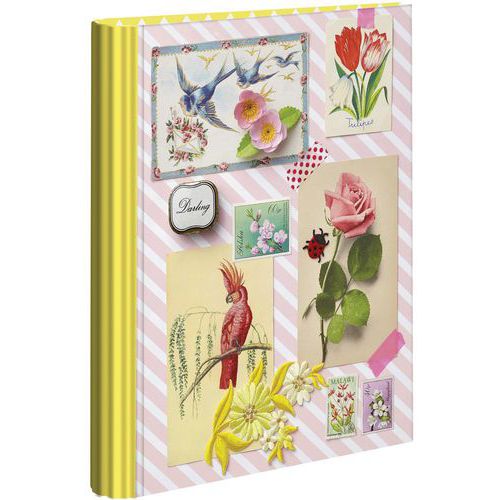 Classeur à 4 Anneaux En Polypropylène A4 Maxi Vert Pastel