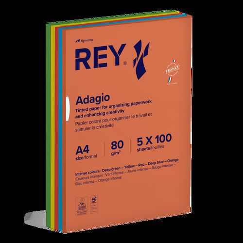 Rey - Ramette 500 feuilles A4 80g 5 teintes vives assorties - Éco-responsable PEFC