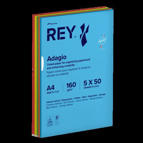 Rey - Ramette 250 feuilles A4 160g 5 teintes vives - Format A4 - Éco-responsable