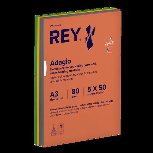 Rey - Ramette 250 feuilles A3 80g 5 teintes vives assorties - Éco-responsable - Idéal pour vos projets créatifs