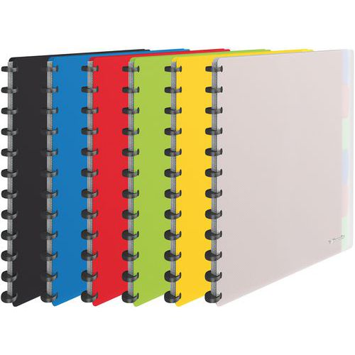 Protège-documents Vivida Polypro Amovibles Assortis