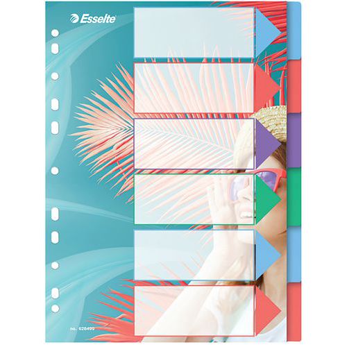 Intercalaire Colourbreeze A4 6 Onglets Polypromulticolore