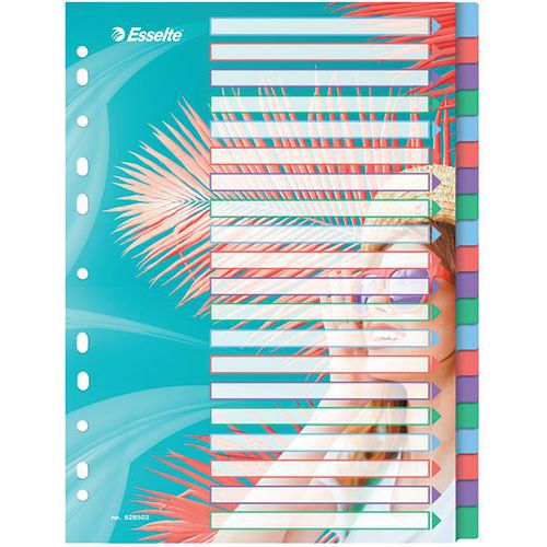 Intercalaire Colourbreeze A4 20 Onglets Polypromulticolore