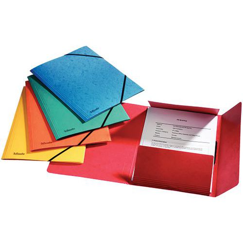 Chemise 3 Rabats Assortis