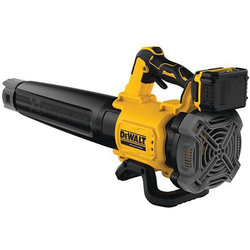 Souffleur Xr 18v 5ah - 1 Batterie - Dewalt