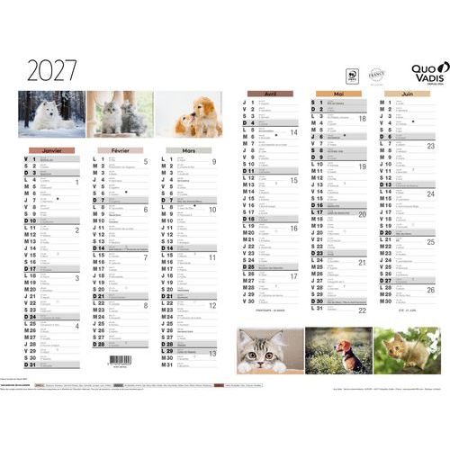 Quo Vadis - Calendrier 2026 Animaux Fantaisie - 54x40,5 cm - Éco-responsable - Idéal Bureau