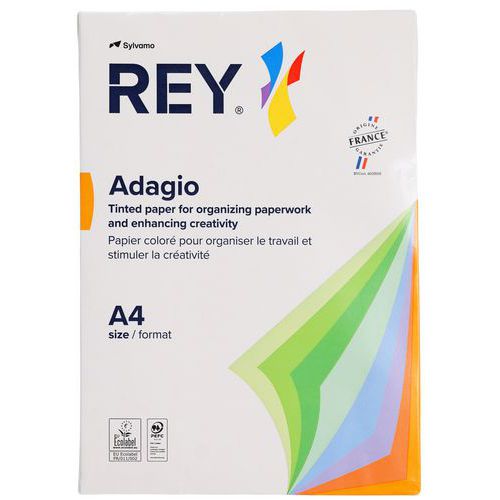 Rey - Ramette Papier Jaune Citron A4 80g 500 Feuilles - Idéal Bureau et Créativité