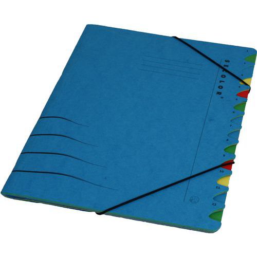 Trieur: 12 Compartiments: Bleu: Secolor