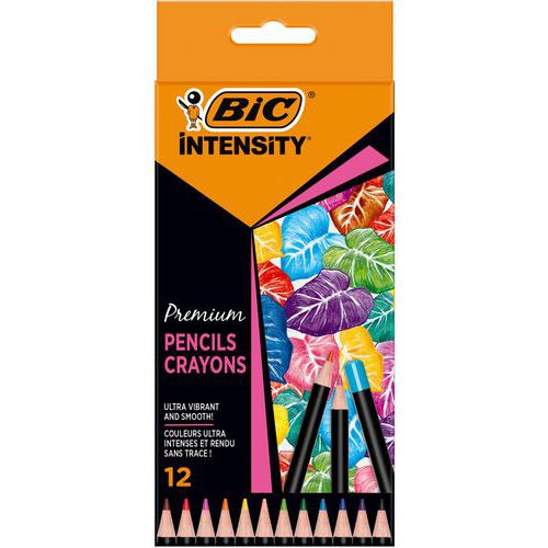 Crayon De Couleur Intensity Mine Douce - Assortis - Bic
