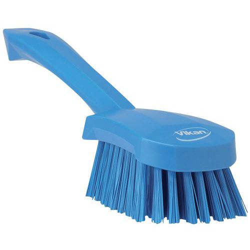 Brosse A Main Bleue Fibres Dures
