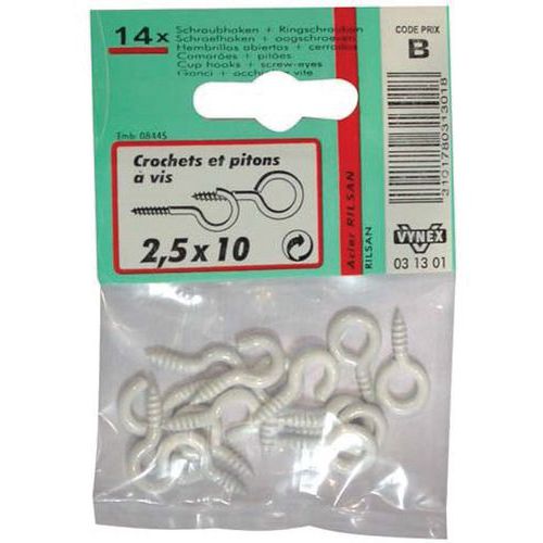 Crochet+piton Rilsanisé 2.5x10 Sc X14