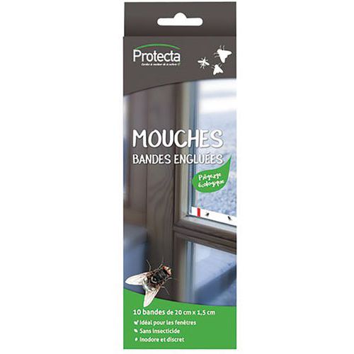 Mouches Bandes Engluées X 10